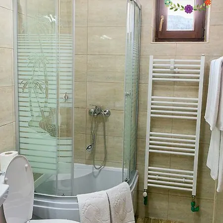 בית הארחה Pensiunea Casa Florela Capusu Mic